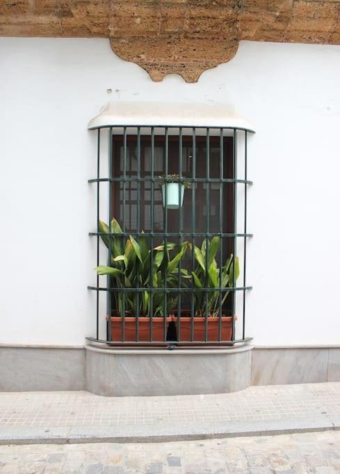 צ'יקלנה דה לה פרונטרה Fancy Apartment In A Historic House, Chiclana City Center By C. Dreams מראה חיצוני תמונה